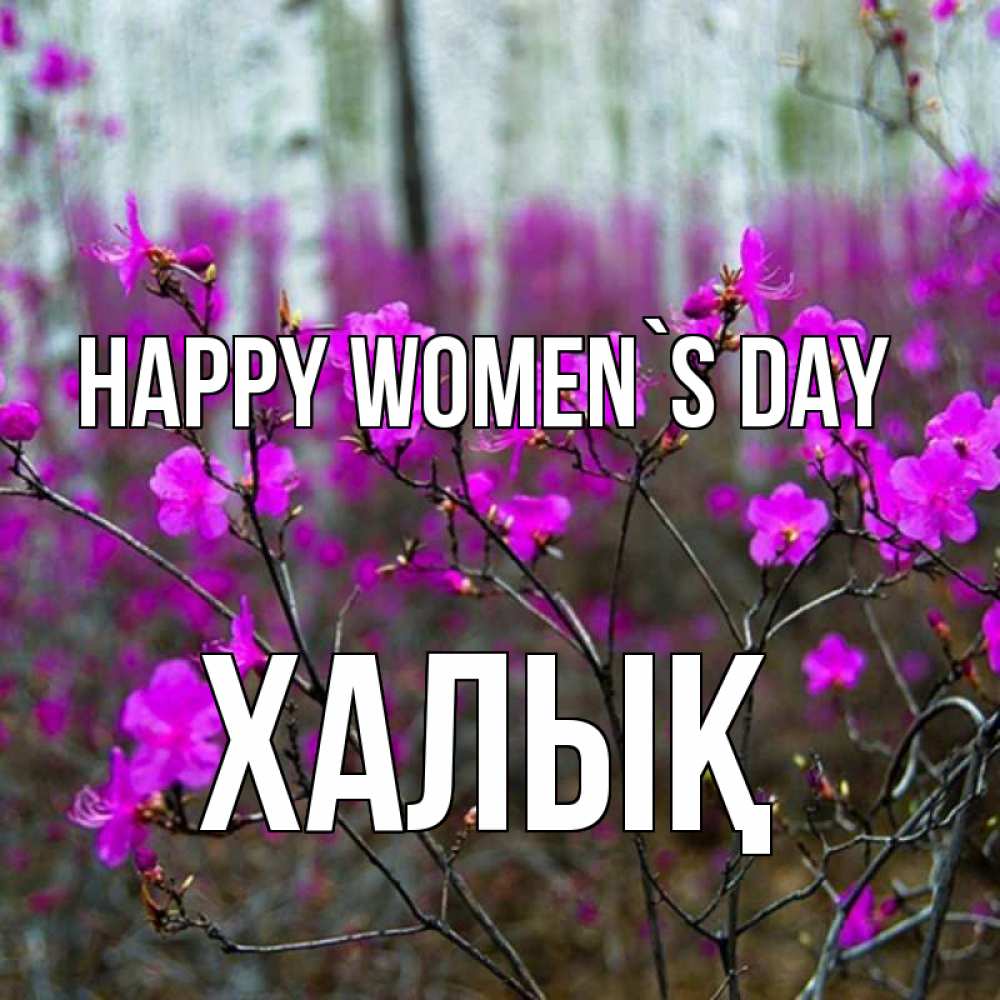 Greetings card с именем, ХАЛЫҚ happy women`s day дикие цветы Greetings with text for free download 